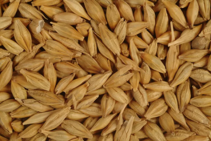Avigrain Barley 20kg