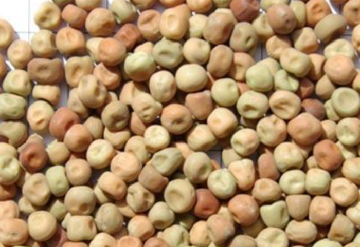 Avigrain Dun Peas 20kg